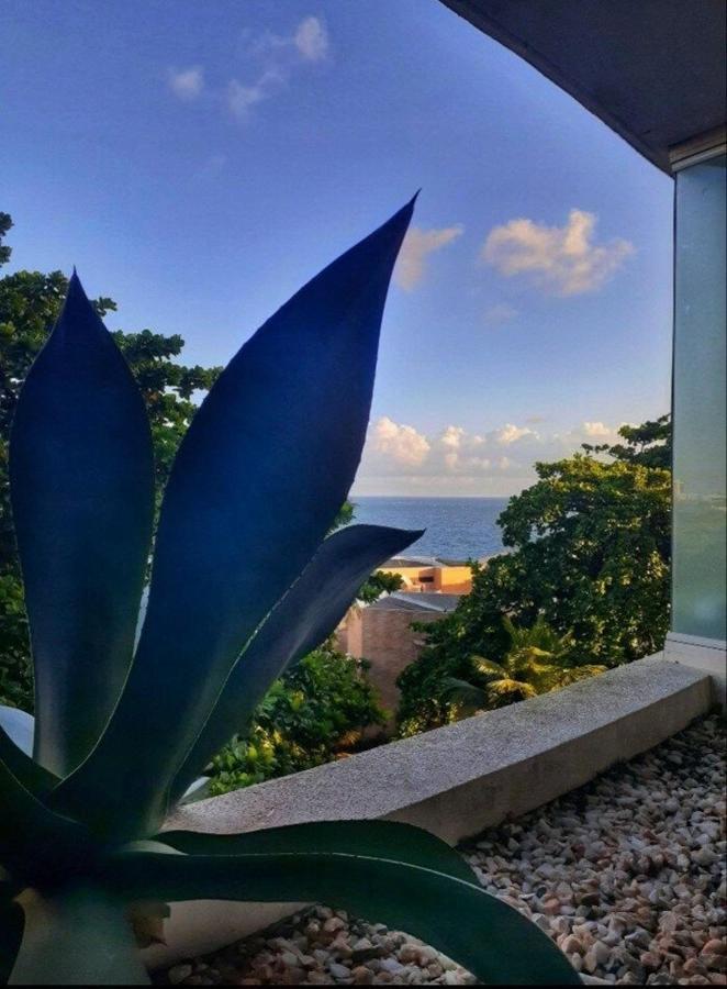 Studio charmoso férias e trabalho Salvador de Bahía Exterior foto